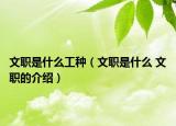 文职是什么工种（文职是什么 文职的介绍）