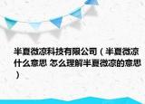 半夏微凉科技有限公司（半夏微凉什么意思 怎么理解半夏微凉的意思）