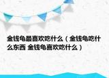 金钱龟最喜欢吃什么（金钱龟吃什么东西 金钱龟喜欢吃什么）