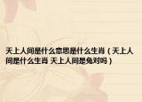 天上人间是什么意思是什么生肖（天上人间是什么生肖 天上人间是兔对吗）