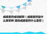成绩斐然成语解释（成绩斐然是什么意思啊 词语成绩斐然什么意思）