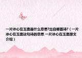 一片冰心在玉壶是什么意思?出自哪首诗?（一片冰心在玉壶这句诗的意思 一片冰心在玉壶原文介绍）