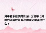 风中的承诺歌词表达什么情感（风中的承诺歌词 风中的承诺歌词是什么）