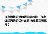 夜夜想起妈妈的话是哪首歌（夜夜想起妈妈的话什么歌 鲁冰花完整歌词）