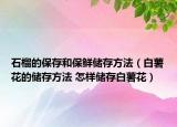 石榴的保存和保鲜储存方法（白薯花的储存方法 怎样储存白薯花）