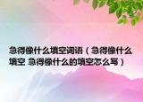 急得像什么填空词语（急得像什么填空 急得像什么的填空怎么写）