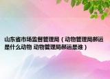 山东省市场监督管理局（动物管理局郝运是什么动物 动物管理局郝运是谁）