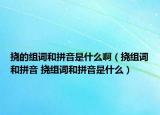 挠的组词和拼音是什么啊（挠组词和拼音 挠组词和拼音是什么）