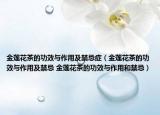 金莲花茶的功效与作用及禁忌症（金莲花茶的功效与作用及禁忌 金莲花茶的功效与作用和禁忌）