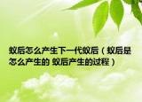 蚁后怎么产生下一代蚁后（蚁后是怎么产生的 蚁后产生的过程）