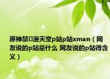 原神禁♥漫天堂p站p站xman（网友说的p站是什么 网友说的p站得含义）