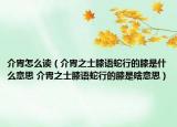 介胄怎么读（介胄之士膝语蛇行的膝是什么意思 介胄之士膝语蛇行的膝是啥意思）