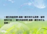 一眼万年的意思 词语一眼万年什么意思 - 智慧百科大全（一眼万年的意思 词语一眼万年什么意思）