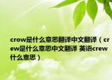 crow是什么意思翻译中文翻译（crew是什么意思中文翻译 英语crew什么意思）