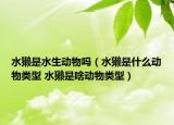水獭是水生动物吗（水獭是什么动物类型 水獭是啥动物类型）