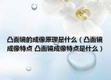 凸面镜的成像原理是什么（凸面镜成像特点 凸面镜成像特点是什么）
