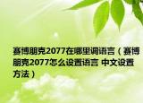 赛博朋克2077在哪里调语言（赛博朋克2077怎么设置语言 中文设置方法）