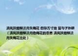 清风扶细柳淡月失梅花 但存方寸地 留与子孙耕（清风扶细柳淡月隐梅花的意思 清风扶细柳淡月失梅花出处）