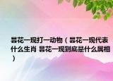 昙花一现打一动物（昙花一现代表什么生肖 昙花一现到底是什么属相）