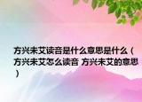 方兴未艾读音是什么意思是什么（方兴未艾怎么读音 方兴未艾的意思）