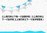 土上有竹林土下有一寸金猜字谜（土上有竹林土下一寸金字谜 土上有竹林土下一寸金字谜答案）