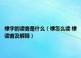 棣字的读音是什么（棣怎么读 棣读音及解释）