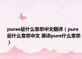 puree是什么意思中文翻译（pure是什么意思中文 英语pure什么意思）