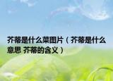 芥蒂是什么菜图片（芥蒂是什么意思 芥蒂的含义）
