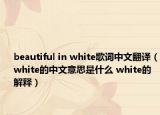 beautiful in white歌词中文翻译（white的中文意思是什么 white的解释）