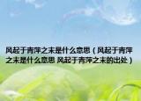 风起于青萍之末是什么意思（风起于青萍之末是什么意思 风起于青萍之末的出处）