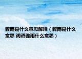 骤雨是什么意思解释（骤雨是什么意思 词语骤雨什么意思）