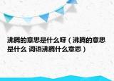 沸腾的意思是什么呀（沸腾的意思是什么 词语沸腾什么意思）