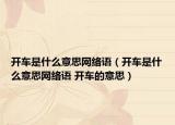 开车是什么意思网络语（开车是什么意思网络语 开车的意思）