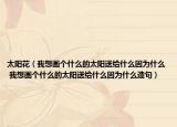 太阳花（我想画个什么的太阳送给什么因为什么 我想画个什么的太阳送给什么因为什么造句）