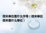 微米单位是什么字母（微米单位 微米是什么单位）