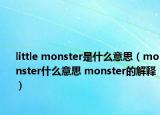 little monster是什么意思（monster什么意思 monster的解释）