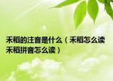禾稻的注音是什么（禾稻怎么读 禾稻拼音怎么读）