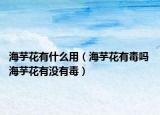 海芋花有什么用（海芋花有毒吗 海芋花有没有毒）