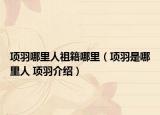 项羽哪里人祖籍哪里（项羽是哪里人 项羽介绍）
