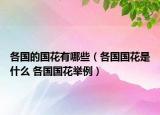 各国的国花有哪些（各国国花是什么 各国国花举例）