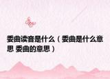 委曲读音是什么（委曲是什么意思 委曲的意思）