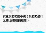 女主反差萌的小说（反差萌是什么梗 反差萌的意思）