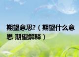 期望意思?（期望什么意思 期望解释）
