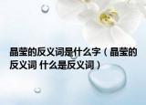 晶莹的反义词是什么字（晶莹的反义词 什么是反义词）