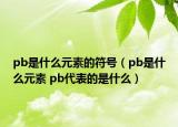 pb是什么元素的符号（pb是什么元素 pb代表的是什么）