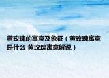 黄玫瑰的寓意及象征（黄玫瑰寓意是什么 黄玫瑰寓意解说）