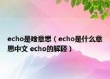 echo是啥意思（echo是什么意思中文 echo的解释）