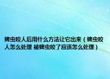 蜱虫咬人后用什么方法让它出来（蜱虫咬人怎么处理 被蜱虫咬了应该怎么处理）
