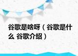 谷歌是啥呀（谷歌是什么 谷歌介绍）