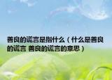 善良的谎言是指什么（什么是善良的谎言 善良的谎言的意思）